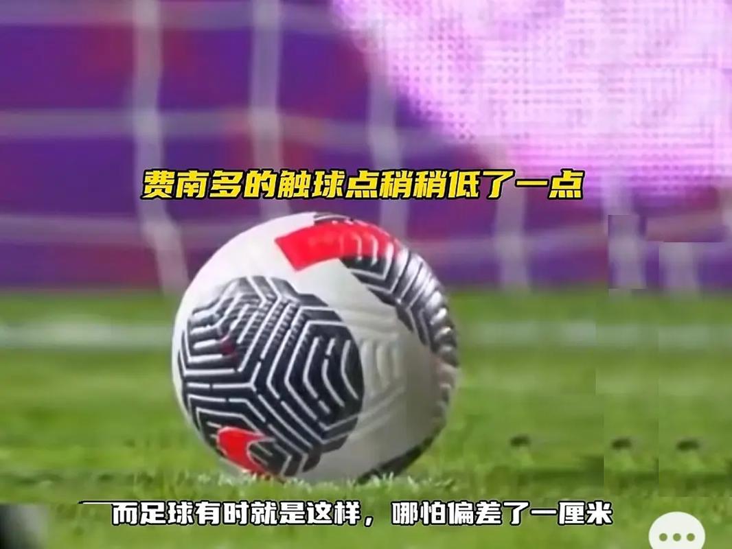 是他所属的